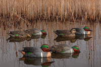 Avian-X Topflight Green Wing Teal Decoys